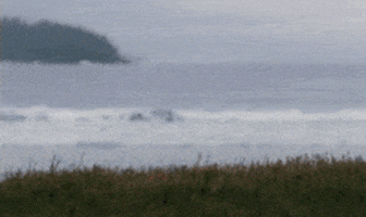 george clooney GIF