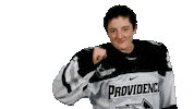 Sticker by Providence Friars