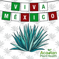 AcadianPlantHealth  GIF