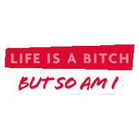 Fun Yolo Sticker by BüroBlondBerlin