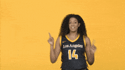 Division Ii Sport GIF by Cal State LA Golden Eagles
