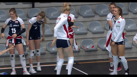 GIF by Volleyball World