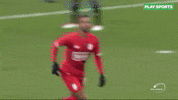 sport celebration GIF by Play Sports