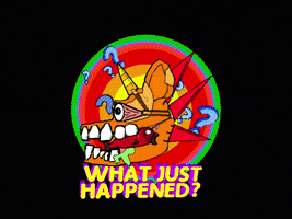 What Just Happened Wtf GIF