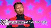 Drag Race Cats GIF by RuPaul's Drag Race