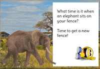 Elephant GIF