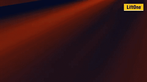 goal liftone GIF by Greenville Swamp Rabbits