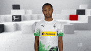 Come On Wtf GIF by Bundesliga