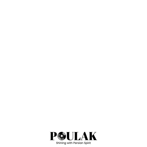 Iran Persian GIF by Poulak