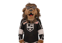 Ice Hockey Sticker by NHL