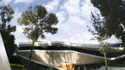 elcantoral cdmx venue coyoacan eventoscdmx GIF