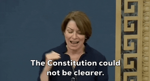 Voting Rights Democrat GIF by GIPHY News