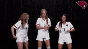 College Sports Sport GIF by CUCougars