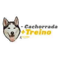 GrupoCaliforniaFitness academia treino californiafitness vempracalifornia Sticker