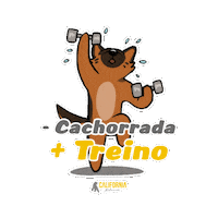 GrupoCaliforniaFitness academia treino chega californiafitness Sticker