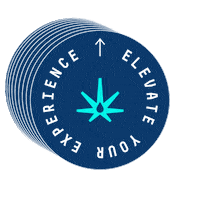 Sticker by Teal Cannabis