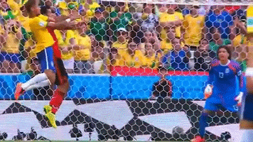 miseleccionmx football futbol mexico liga mx GIF