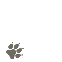 VetPartners dog paw vet veterinary Sticker