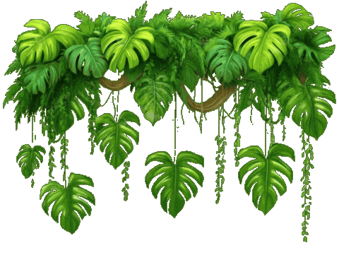 Leaf Monstera Sticker