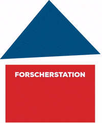 Bildung GIF by Forscherstation