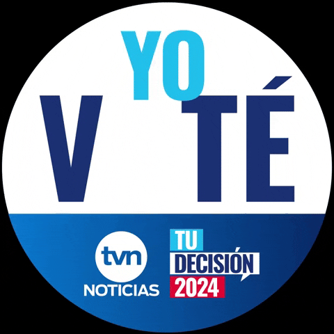 Yo Vote GIF by Televisora Nacional S.A.