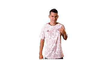 World Cup Mexico Sticker by MiSelecciónMX