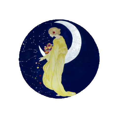 MoonshadowFest giphygifmaker moonshadow moonshadowfestival moonshadowfest Sticker