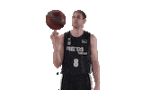 Liga Endesa Spinning Sticker by ACB
