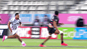 France Australia GIF by Stade Français Paris