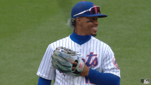 Ny Mets Baseball GIF by New York Mets