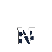 nerotrainingclub nero club nero training club Sticker