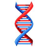 Dna Sticker by Thermo Fisher Scientific