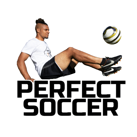 ps quincy Sticker by Perfect Soccer