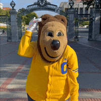 caloski california shy cal berkeley GIF