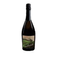 Italy Italia Sticker by fradé wine