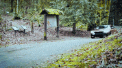 Slow Motion Bmw GIF by Northwest Motorsport