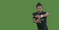 celebrate zoltan stieber GIF by D.C. United