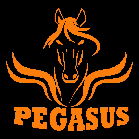 PegasusSolucionesIntegrales giphygifmaker empresa limpieza pegasus GIF