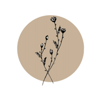 Bloom Sb Sticker