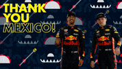 ver formula 1 GIF by Red Bull Racing
