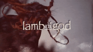 Lamb Of God Festival GIF by KNOTFEST
