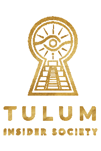 insidersociety tulum afterlife cenote vagalume Sticker