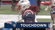 Damien Harris Football GIF by NFL