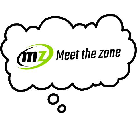 Meetthezone Sticker by mzstore