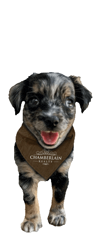 Real Estate Realtor Sticker by Chamberlain Realty LLC