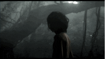 jon favreau disney GIF by Disney's The Jungle Book