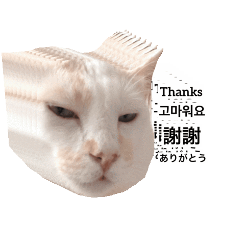 Cat Thank You Sticker