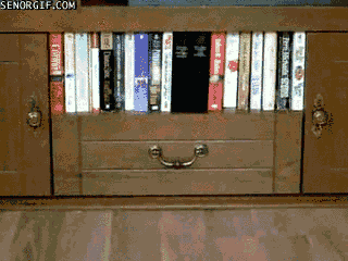 cat books GIF by Cheezburger