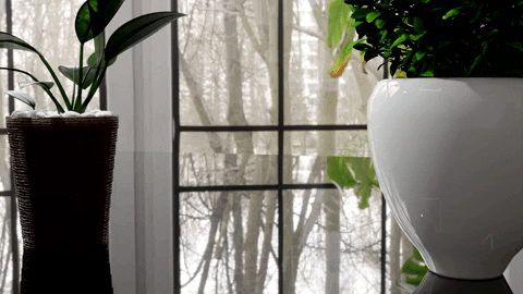 vivarastudios giphyupload GIF