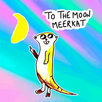 Nft GIF by GaryVee